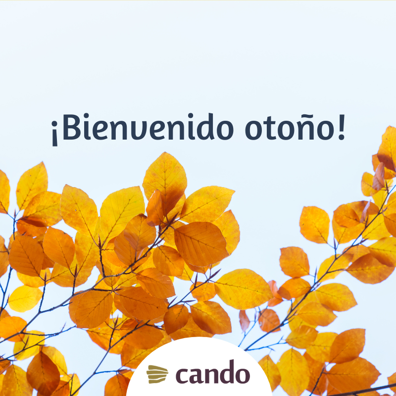 CandoConstruye's tweet photo. ¡Os deseamos un gran otoño 🍂🍁🍄! Y si os animáis a poner la casa a punto, os recomendamos las siguientes tendencias😉, ¡a decorar!  https://t.co/4995rhkXZj #bienvenidootoño #decoración #vivienda https://t.co/YYNAxyAHS9