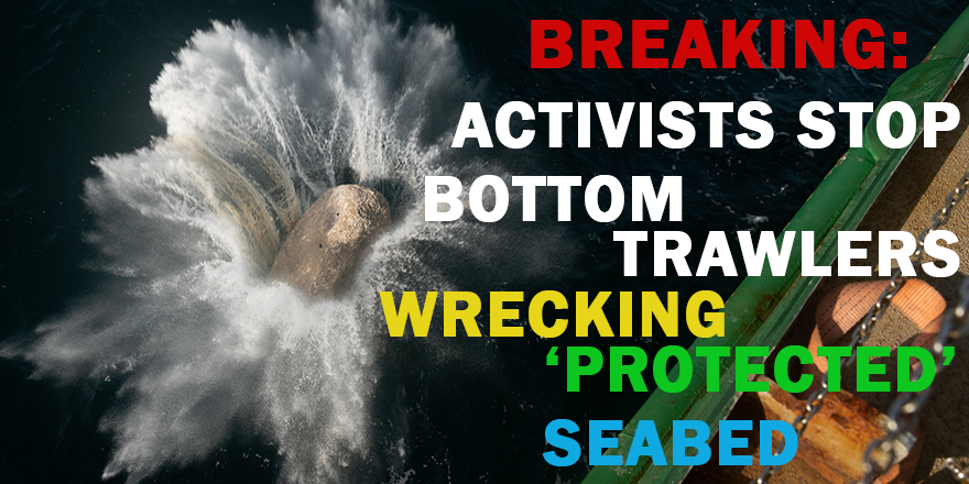 GreenpeaceUK's tweet photo. BREAKING: Activists start creation of huge protected area in the Dogger Bank!
The govt is failing to protect our marine life from #DestructiveFishing - so weโre taking action to protect a huge area of seabed!
Tell the govt to protect our marine life:
https://t.co/Dma5b7zmIv https://t.co/cCqrNTFULB