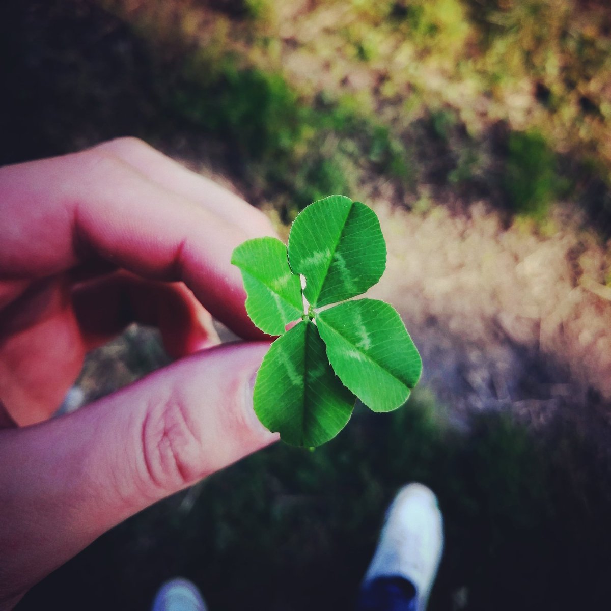 Yorkshire Voucher Codes 💛 tweet media