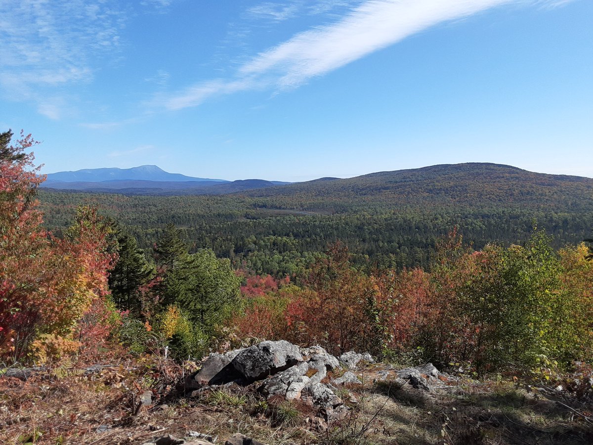 nothingnow tweet media