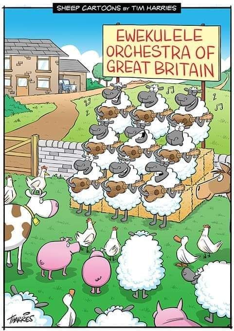 Ukulele Orchestra of Great Britain tweet media