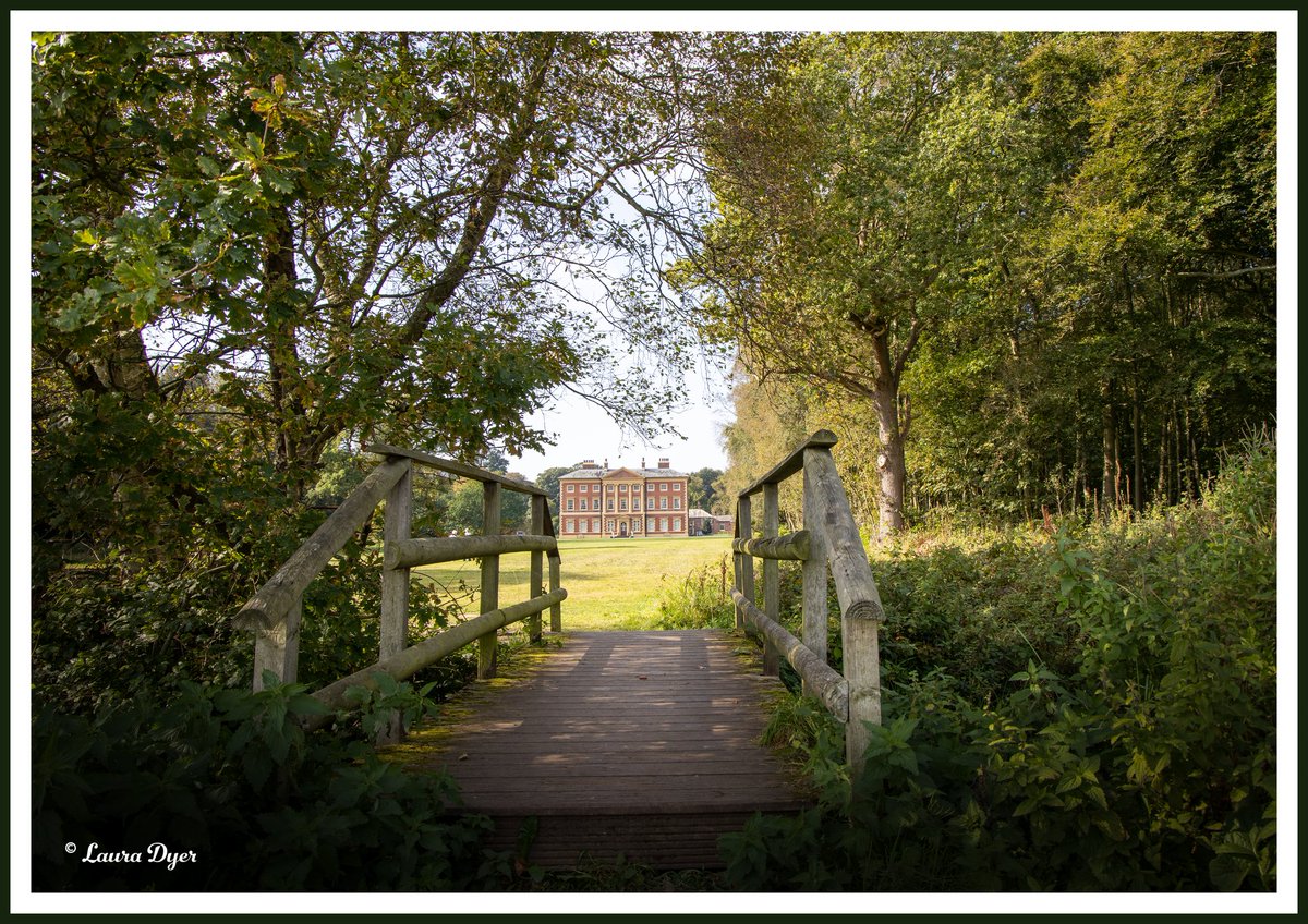 Laura Dyer tweet media