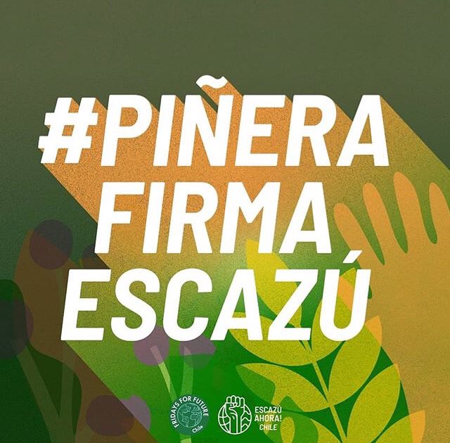 PorMaipo's tweet photo. #PiñeraFirmaEscazu
@EscazuAhoraCl https://t.co/nvsDcb4CcJ