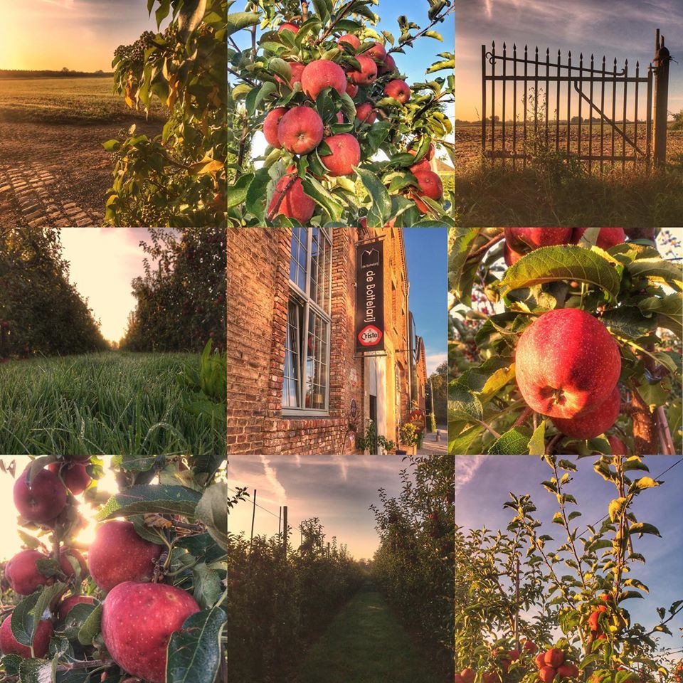deBottelarij's tweet photo. Ook in de herfst is het sfeervol, warm, gezellig én coronaproof vertoeven in de Bottelarij 😊 
Ontdek wat er in oktober bij ons te beleven valt op deze link: 
- https://t.co/HH3Vh33Rud https://t.co/gOlMgKZlcs