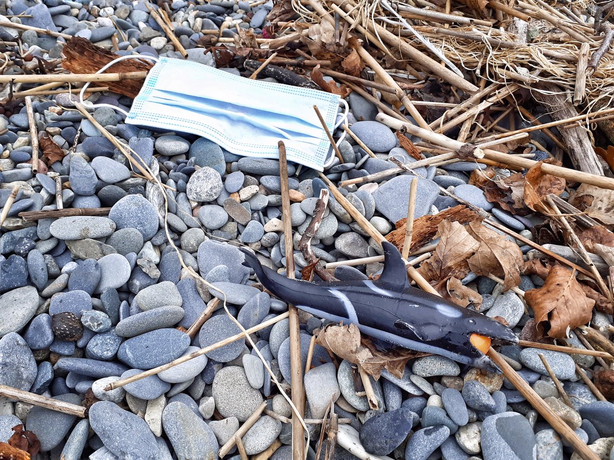 Plastic whale, choking on a plastic ball, next to a discarded mask. Not what I thought I'd find on a walk along the beach, but somehow a poignant marker of the times. #MarinePlastic #Irony