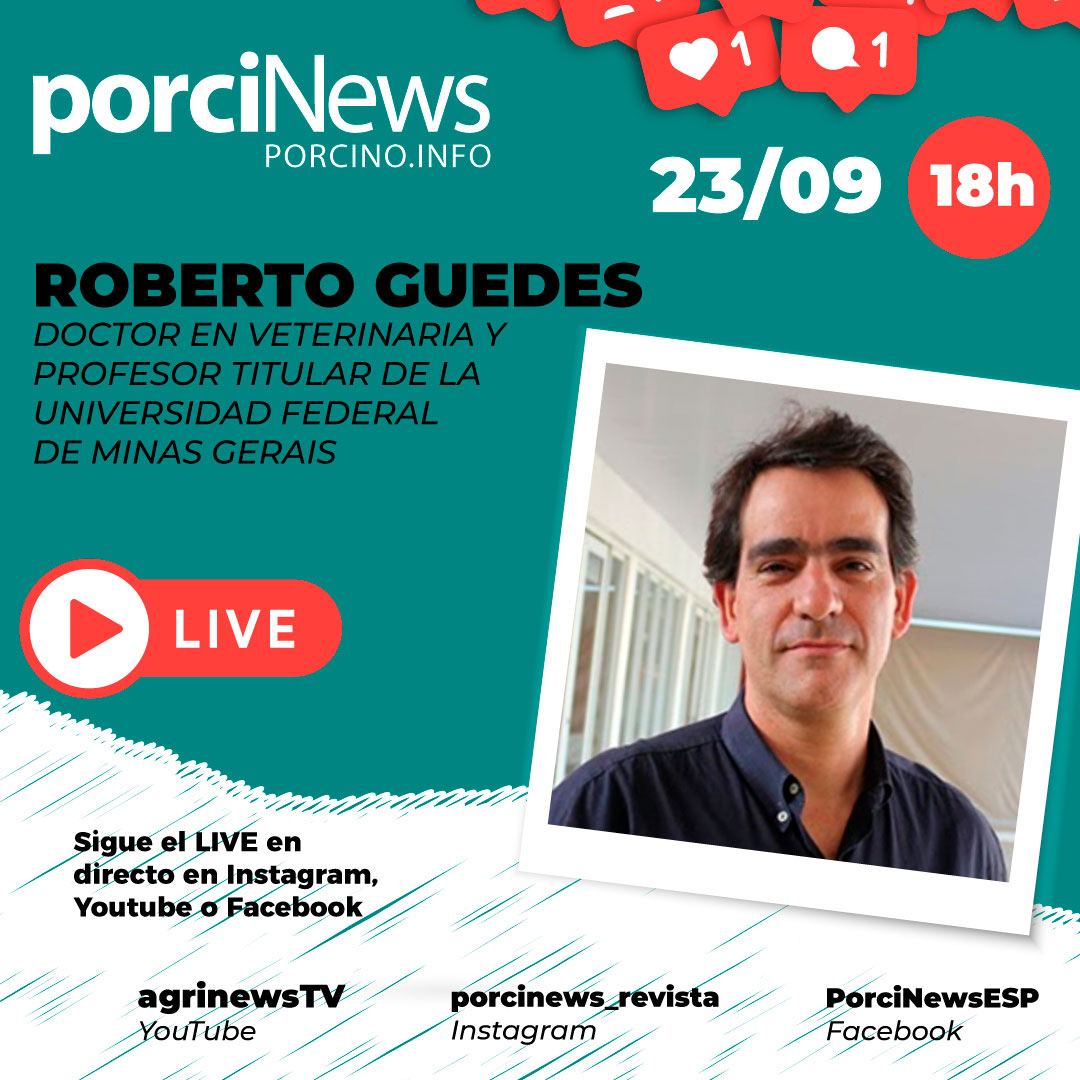 porciNews's tweet image. 💢¿Nos acompañas a desenmascarar a #Lawsonia intracellularis? El miércoles (23/09) a las 18 h (hora España), en DIRECTO en el INSTAGRAM de @porcinews_revista, hablaremos con Roberto Guedes sobre los puntos clave a tener en cuenta para el control de la #ileítis #porcina.