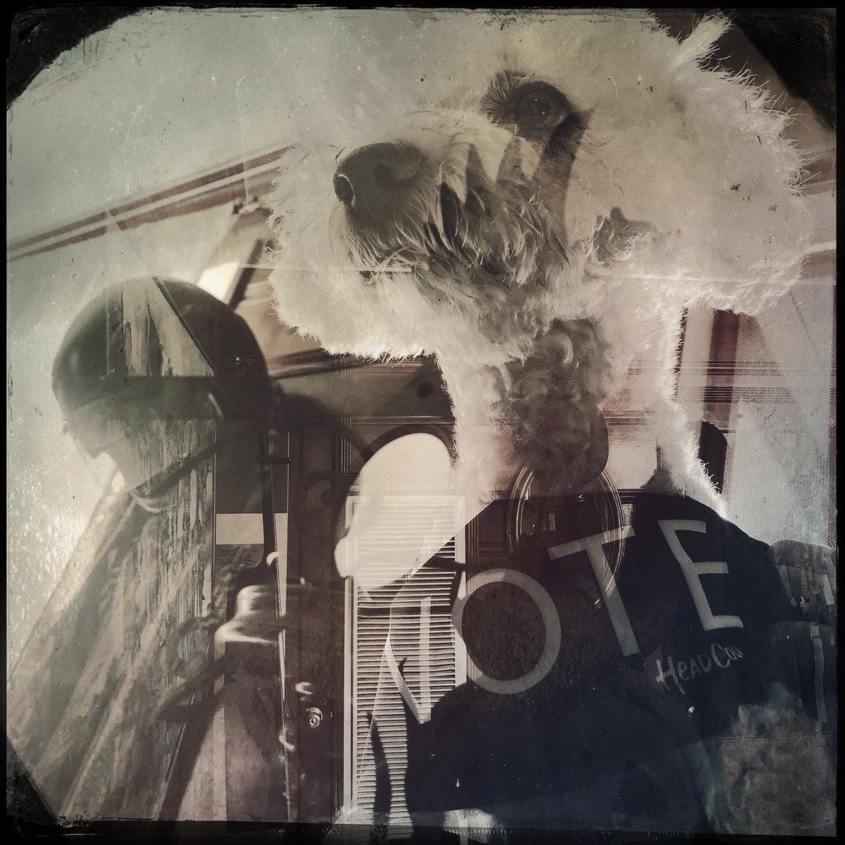 It’s #NationalVoterRegistrationDay! Don’t wait another day. Register to vote or verify your status by visiting <a href="/HeadCountOrg/">HeadCount | Register To Vote</a> or texting VOTER to 40649 -- then comment #VoteReady when you’re done!