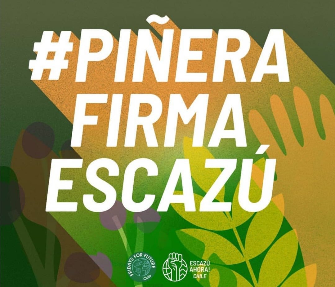 Gaba_petty's tweet photo. #escazuahora #Piñerafirmaescazú @sebastianpinera @allamand estamos expectantes a las 15 hrs 👁️👁️ https://t.co/iR1oCistor