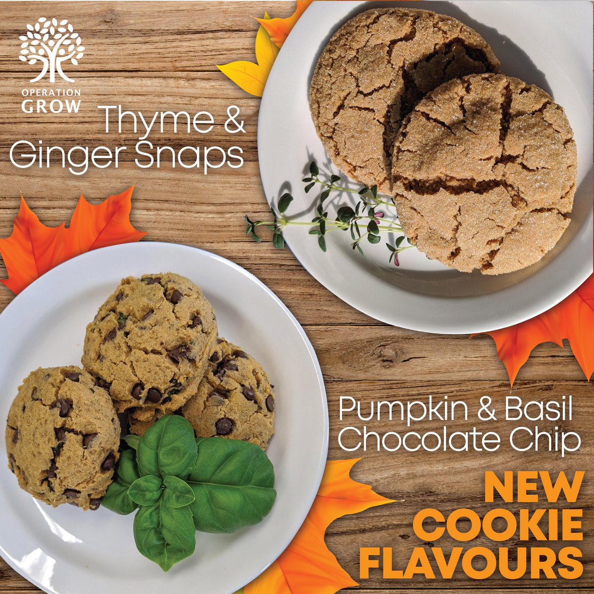 Operation_Grow's tweet photo. Happy first day of Fall! 🍂 Our new fall products are available in our retail store TODAY! In addition to our new pumpkin chilli and cookie flavours....we also have NEW cranberry sauces, available in two flavours: Jalapeño &amp; Basil Cranberry Sauce &amp; Mulled Cranberry Sauce. https://t.co/0g3aqw78IO