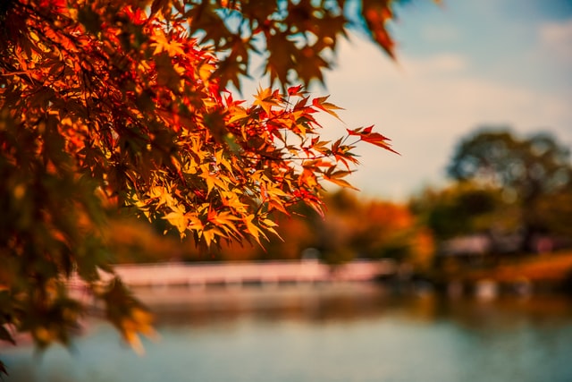 moldodorguykzoo's tweet photo. Happy Fall Y'all! What does your family have planned for this Fall? 🍁🍂

#FirstDayofFall #Autumn #Fall #Family #MoldDetection #Mildew #Kalamazoo #GrandRapids #Michigan #MoldGuy #PureMichigan https://t.co/FPXhLqAApE