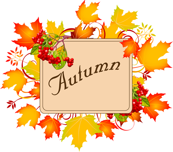 BohnBodyArmor's tweet photo. Happy #Fall, Y'all!
#BohnBodyArmor
https://t.co/Nymu92jDfo https://t.co/eeKBGPPoVR