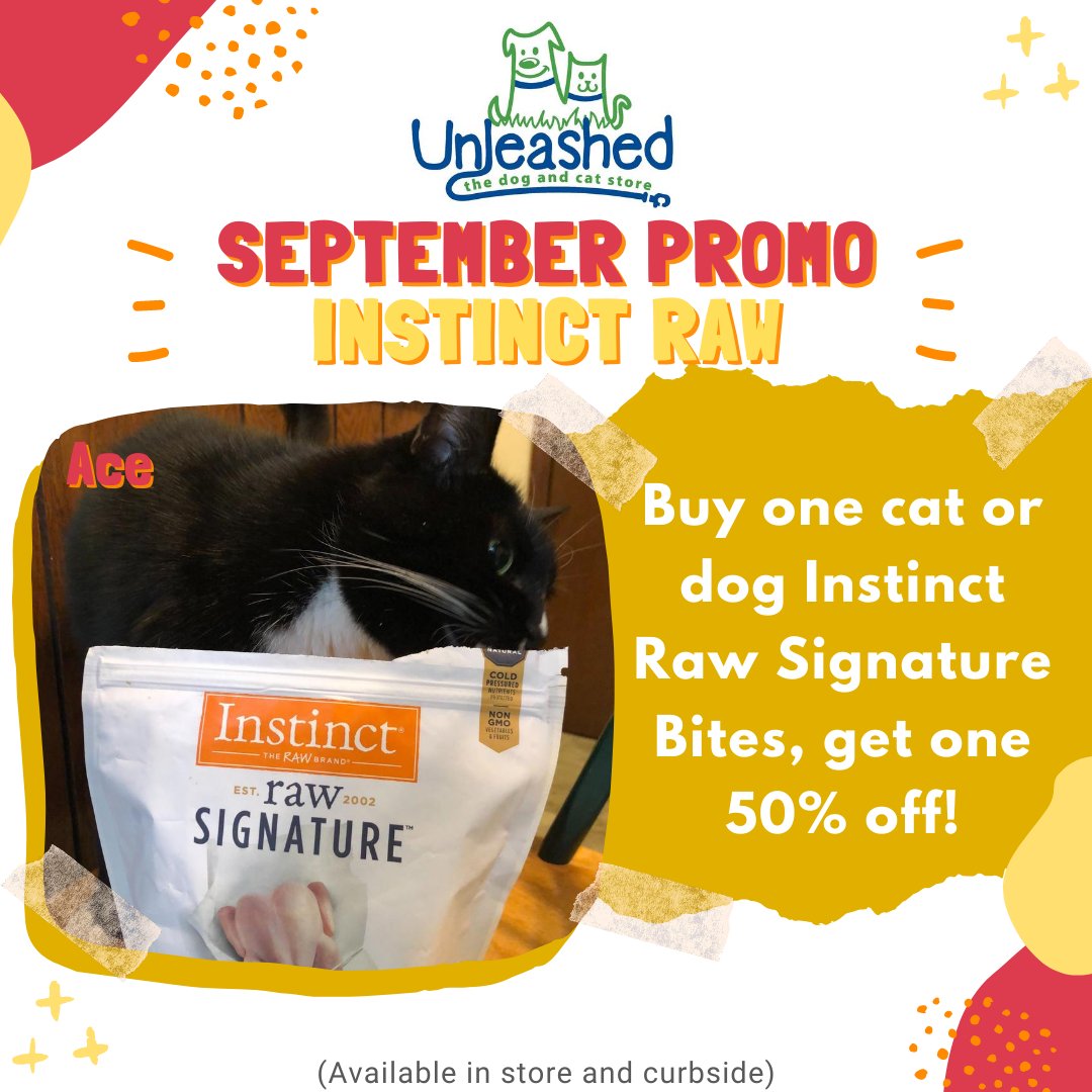 Unleashed_SH's tweet image. This September at @Unleashed_SH, all cat and dog Instinct Raw Signature Bites are buy one, get one 50% off! Ace was so excited, he dove in head first into the bag after this pic 😸
#shoplocalraleigh #dogs #petsofthetriangle #cats #unleashedthedogandcatstore #unleashedstonehenge