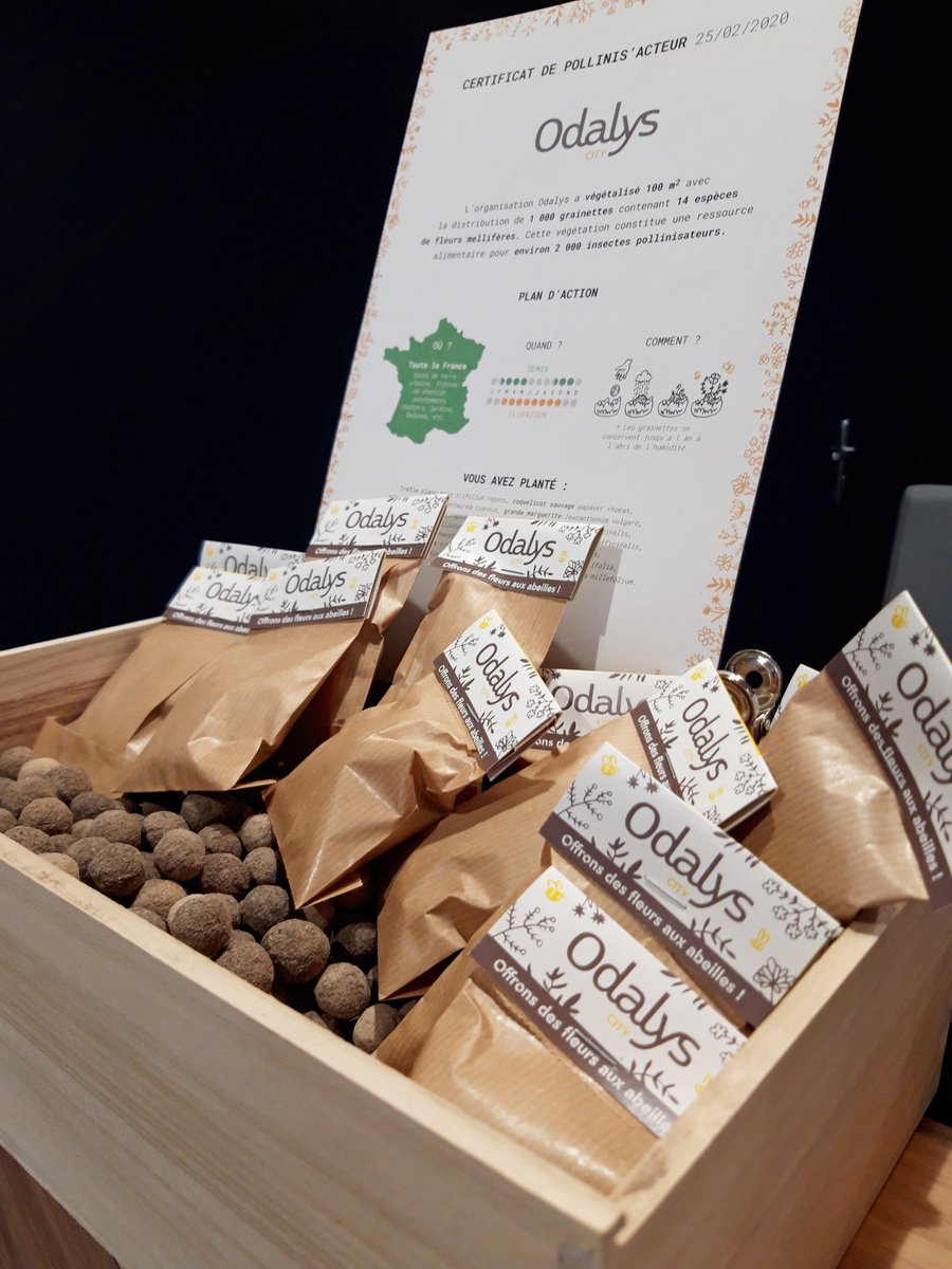 🍁🐝 En ce premier jour d’automne, <a href="/Odalys_Groupe/">Odalys Groupe</a> s’engage à booster la #biodiversité au côté de <a href="/GrainetteFrance/">Grainette</a> avec une nouvelle action participative et accessible à tous : la distribution de « bombes à fleurs » à nos clients #OdalysCity au Mans ! ➡️ bit.ly/2ZVYvZn