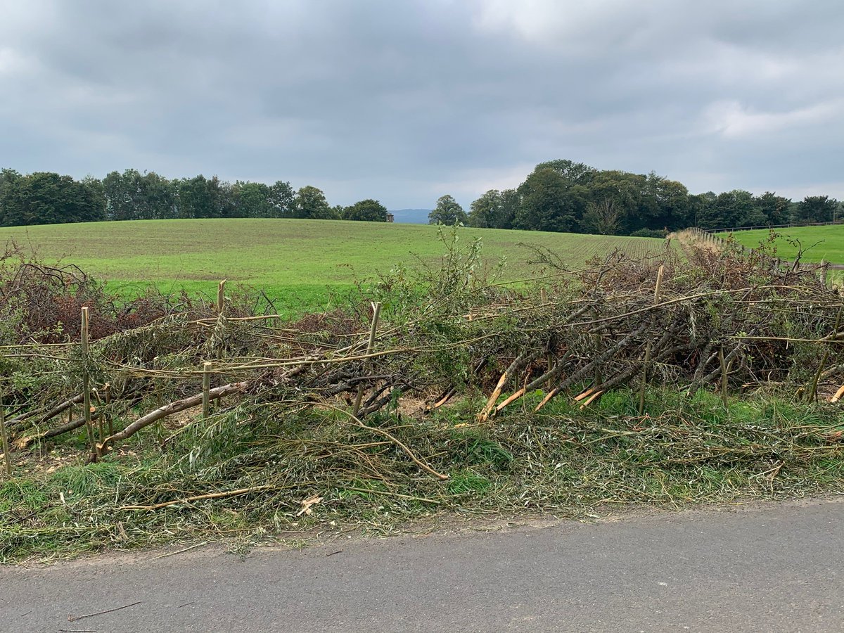 TyneRiversTrust's tweet photo. We were at it again today! Our amazing #volunteers laid 25m of hedgerow today! https://t.co/LotxReqh45