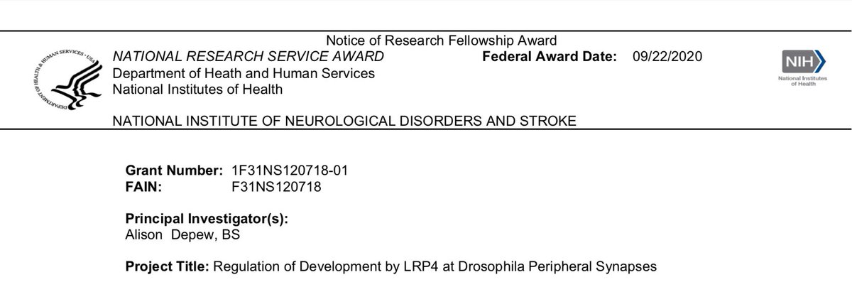 Alison DePew, PhD (@gal4science) on Twitter photo it's official! I'm so excited and grateful to receive an NRSA F31 fellowship from <a href="/NIH/">NIH</a> / <a href="/NINDSfunding/">NINDSfunding</a>! Many thanks to my excellent mentors, especially <a href="/drosophilosophy/">Tim Mosca (he/him)</a>, who have made this possible! it's official! I'm so excited and grateful to receive an NRSA F31 fellowship from <a href="/NIH/">NIH</a> / <a href="/NINDSfunding/">NINDSfunding</a>! Many thanks to my excellent mentors, especially <a href="/drosophilosophy/">Tim Mosca (he/him)</a>, who have made this possible!