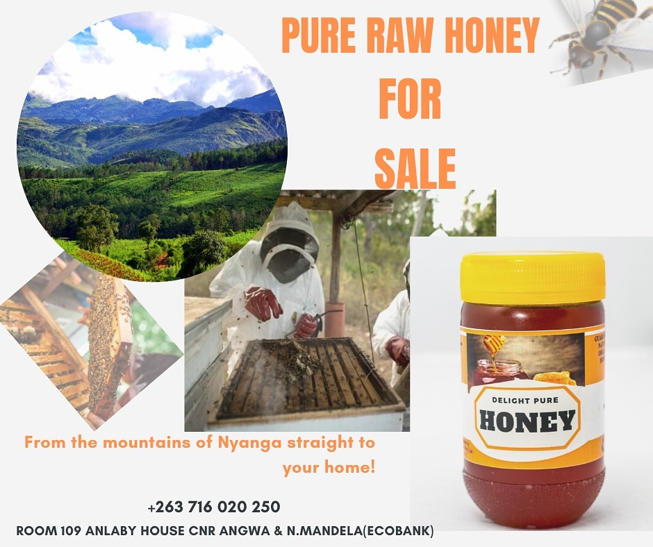 DelightPureHon1's tweet photo. From the Mountains of Nyanga straight to your home

Retail :$2.00 usd/bottle 

Deliveries Around Harare (charges apply)

#delightpurehoney #rawhoney #organic #harare #nyanga #Zimbabwe https://t.co/gJCsNO0wb8