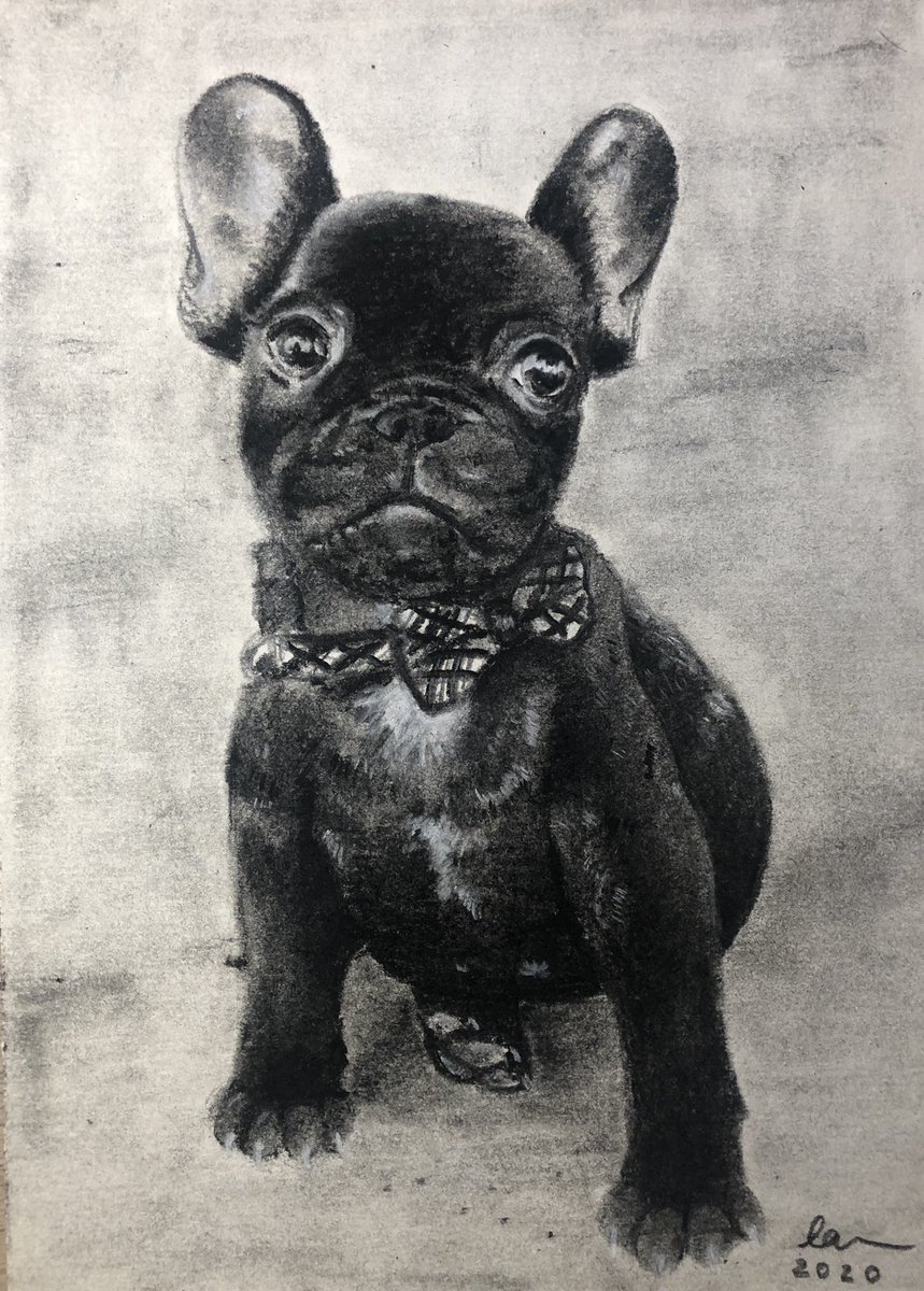 lillyadamo's tweet photo. first commission done! https://t.co/mbRaI0D1Zd