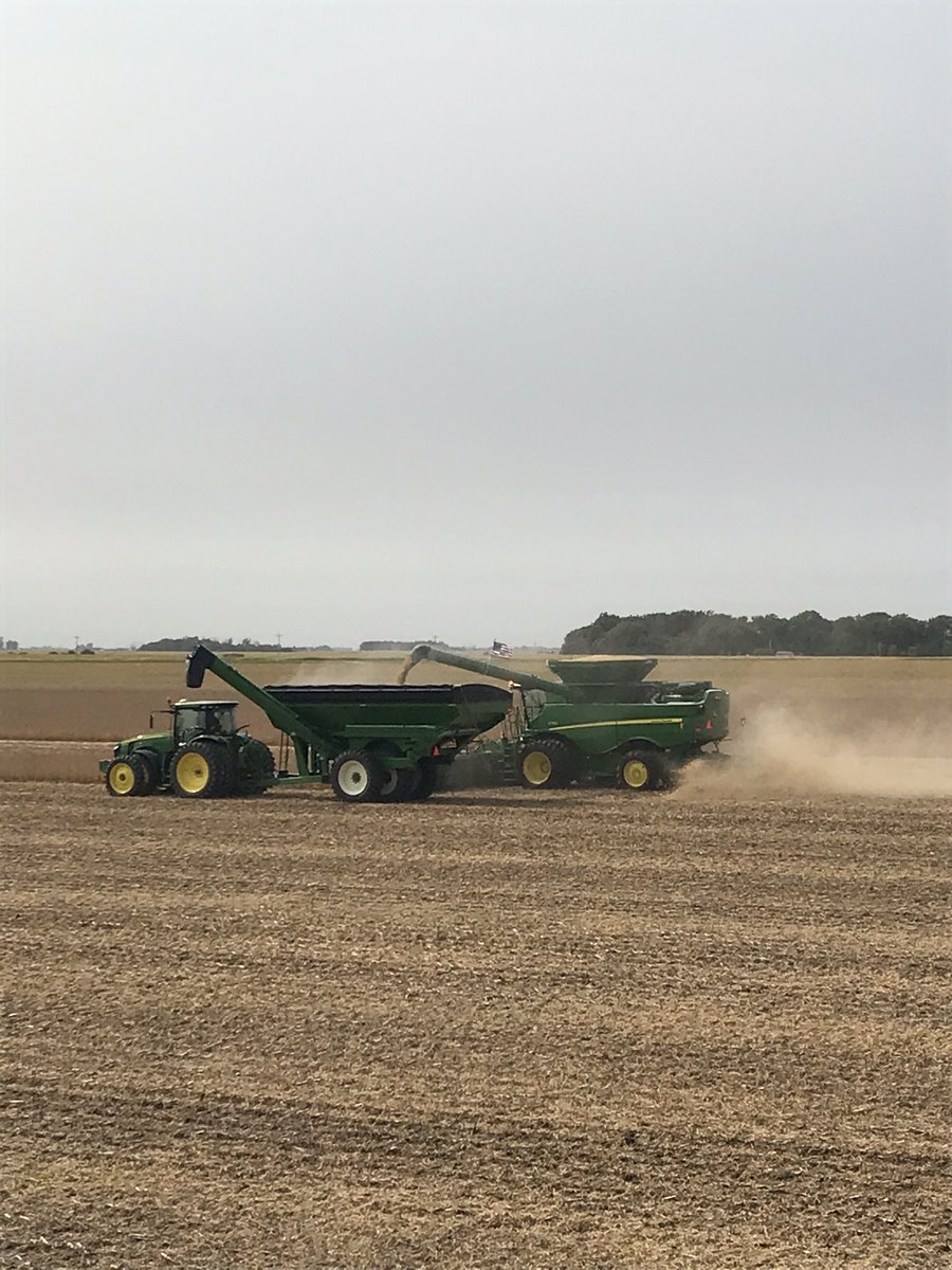 Jeff Tank tweet media