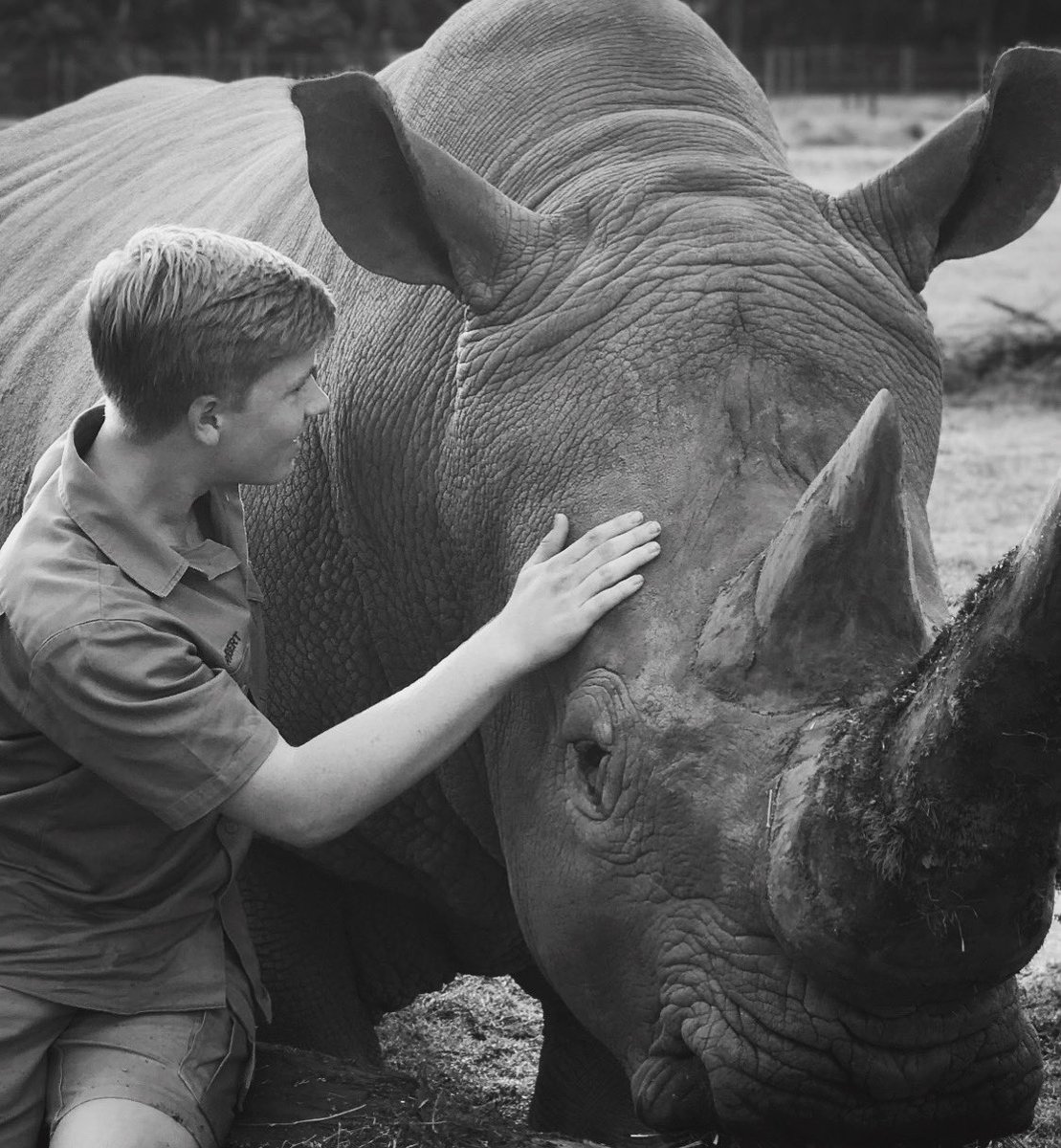 Celebrating the most beautiful gentle giants - happy #WorldRhinoDay 🦏