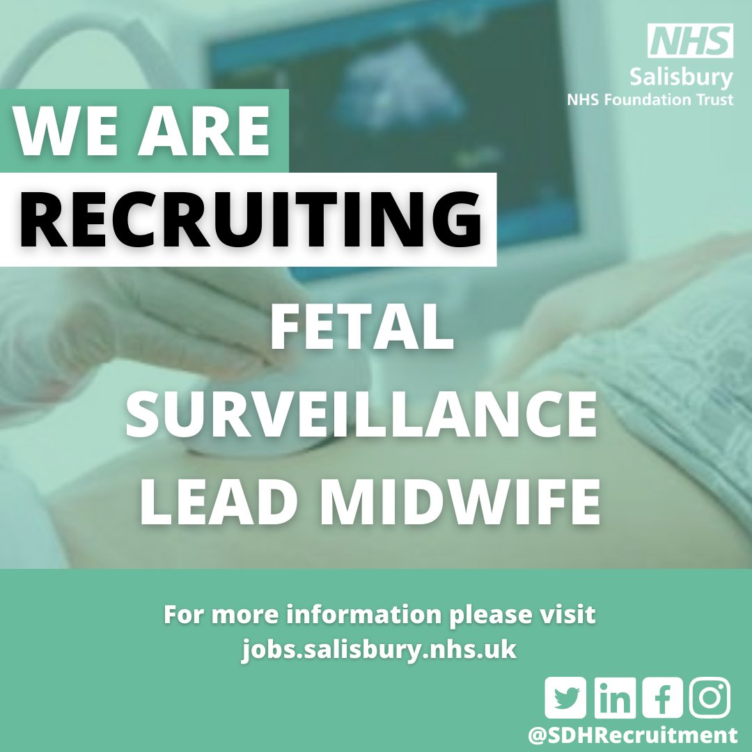 SDHRecruitment's tweet photo. An exciting opportunity has arisen for an experienced midwife to lead on the improvement of antenatal and intrapartum and fetal surveillance within @TeamMaternity here @SalisburyNHS. For more information and to apply, take a look here: https://t.co/DilsuIkYV2 https://t.co/r5szZtI1Id