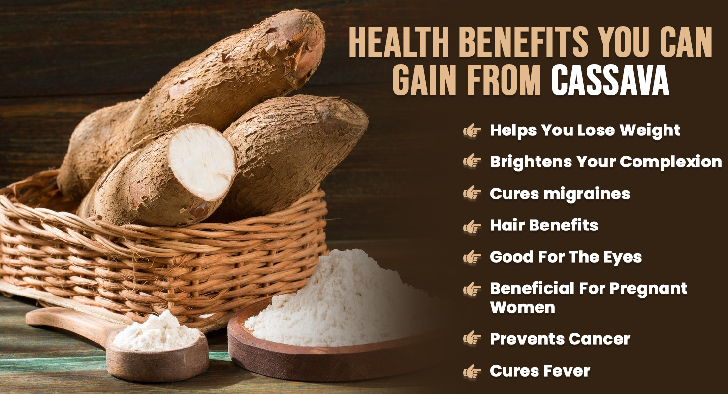 15 Proven Health Benefits Of Cassava Manioc Or Yuca How To Ripe 15-proven-health-benefits-of-cassava-manioc-or-yuca-how-to-ripe