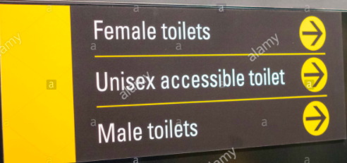 So it is a less discriminatory solution to also provide a joint (unisex) option where possible.That way everyone's privacy is protected, all are provided for, and it is clear who can use which facilities. There is no room for conflict, humiliation, or abuse of ambiguity