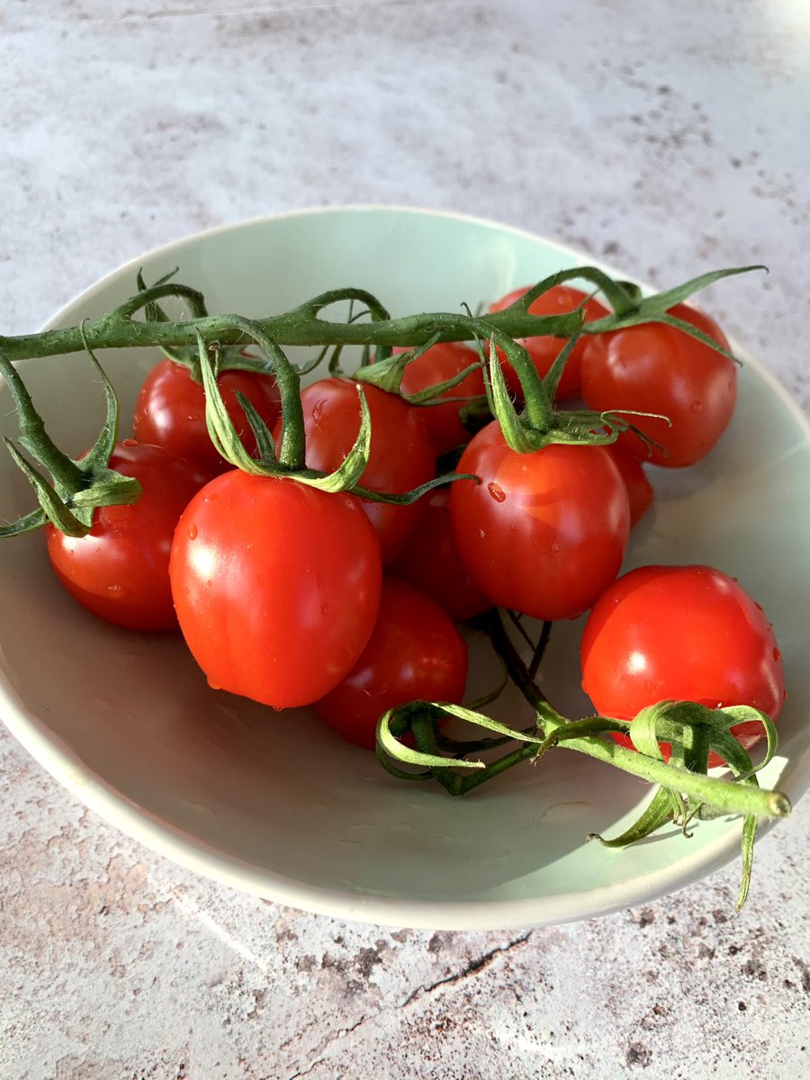 CountryCrestFS's tweet photo. What’s your favourite fruit &amp; veg in season? We’re loving these locally grown Sun Stream tomatoes. So tasty and helping us to hang on to that summer feeling. ☀️ #bestinseason #buylocal #7aday https://t.co/MbCnH9PROK
