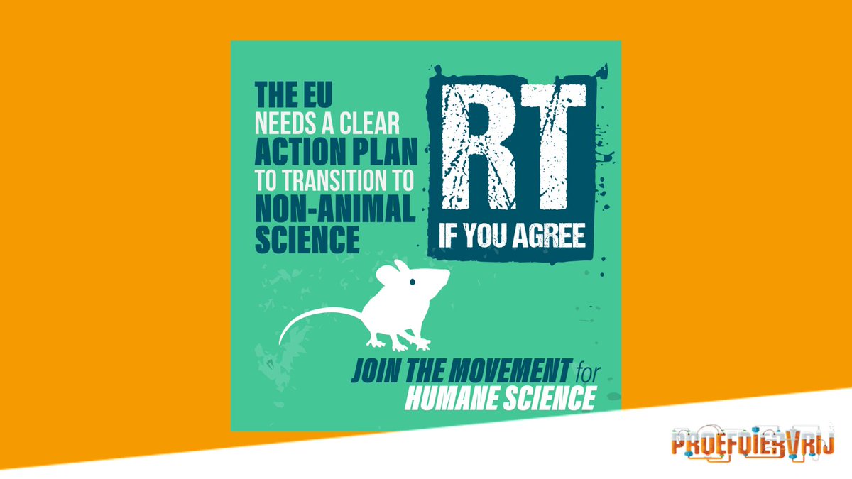 Proefdiervrij's tweet image. #Wistjedat er jaarlijks meer dan 23 miljoen proefdieren worden gebruikt in de EU? Wij vinden dat de EU proefdiervrije innovatie meer moet stimuleren. Lees meer -&amp;gt; eurogroupforanimals.org/news/join-move… #Act4LabAimals #EuropeanDayforHumaneScience #Proefdiervrij @Europarl_NL  @EU_Commission