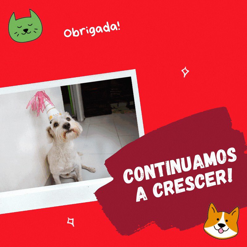 PetifyPortugal's tweet photo. Graças à vossa ajuda, o Petify não pára de crescer!
Neste mês de setembro alcançámos a meta de 1 milhão de páginas visualizadas no nosso website em 2020.
Juntos continuamos a lutar por um mundo em que todos os cães e gatos têm um lar e muitos mimos! 🐶❤️🐱
#petify #adocao https://t.co/Iakagcnbfg