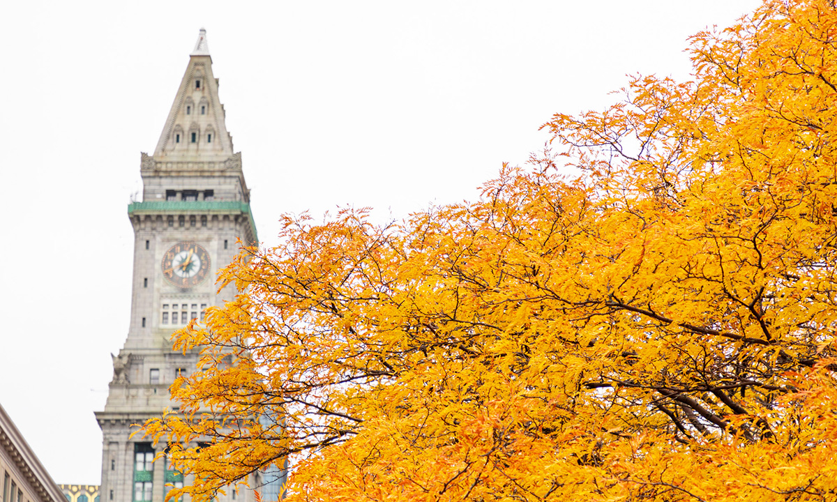 CityOfBoston's tweet image. Today marks the first day of #Autumn, Boston! We hope you get a chance to enjoy the fall weather this week.

“Life starts all over again when it gets crisp in the fall.” ― F. Scott Fitzgerald, "The Great Gatsby"