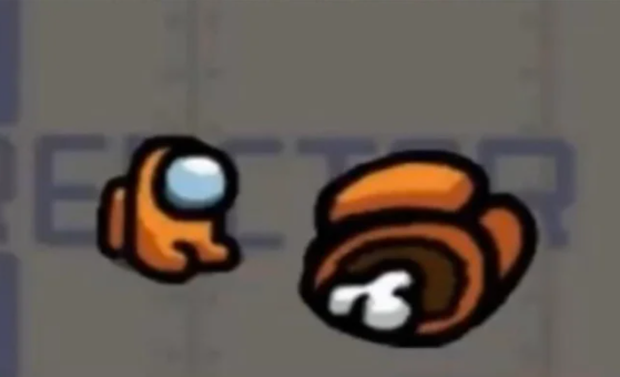 Team Vitality 🐝 tweet media