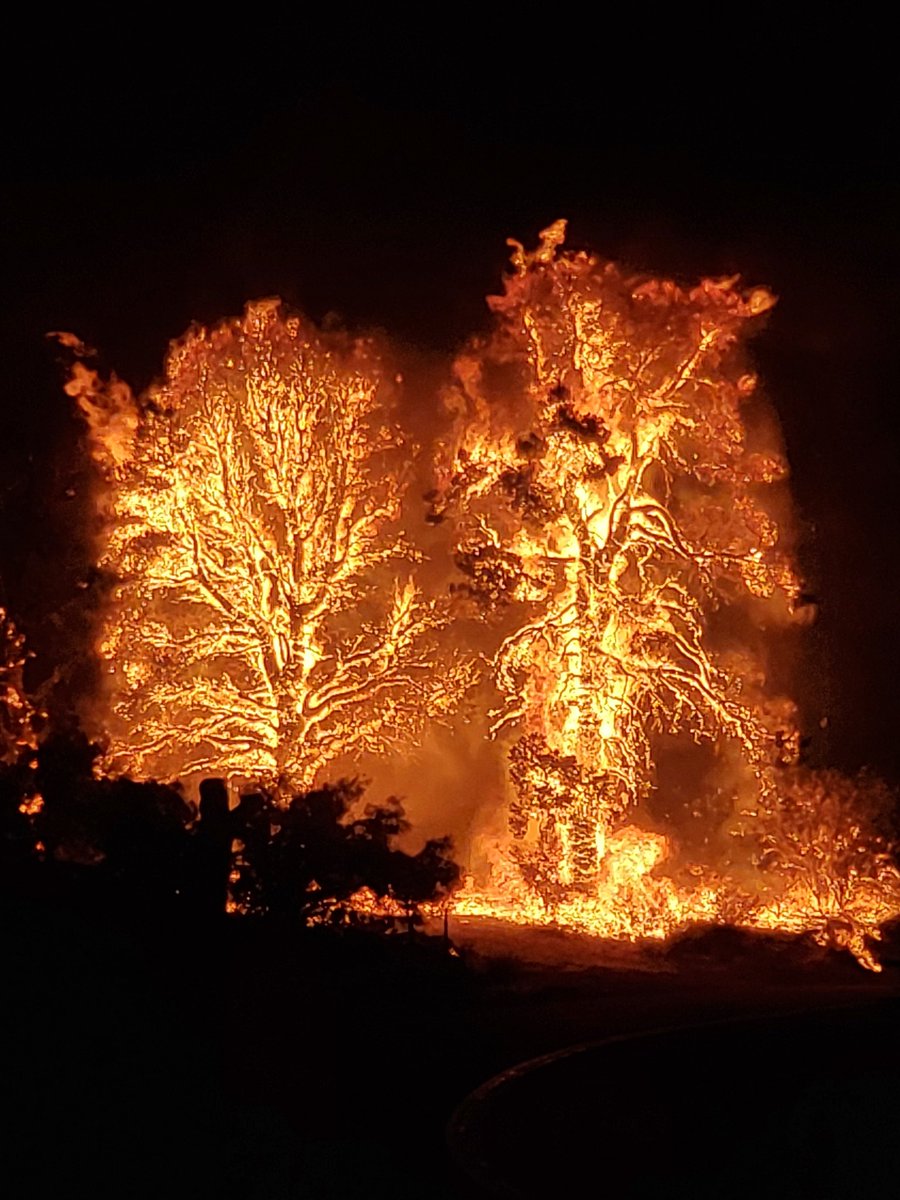 Beauty in the midst of destruction. #BobcatFire