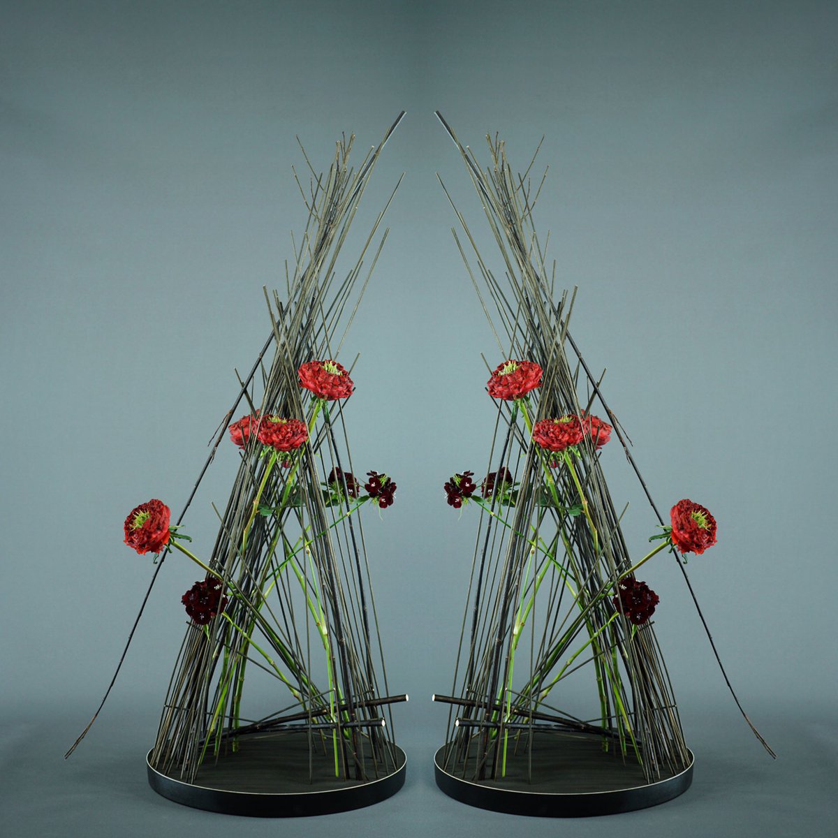 MarkPampling's tweet photo. Keeping it simple so those โRed Eyeโ Roses can entice.
#redeyeroses
#redroses
#roses
#keepingitsimple
#dianthusbarbatus
#sweetwilliam
#blackwillow
#blackwillow
#salixnegra
#blackfoam https://t.co/fSKqlzMg4F