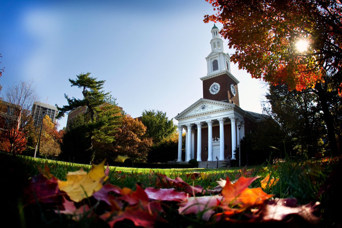 UKAthletics's tweet photo. Hey, @universityofky! Fall colors look REALLY good on you! 😻🍁🍂

Happy first day of fall, #BBN! #WeAreUK https://t.co/gzN35rG0uv