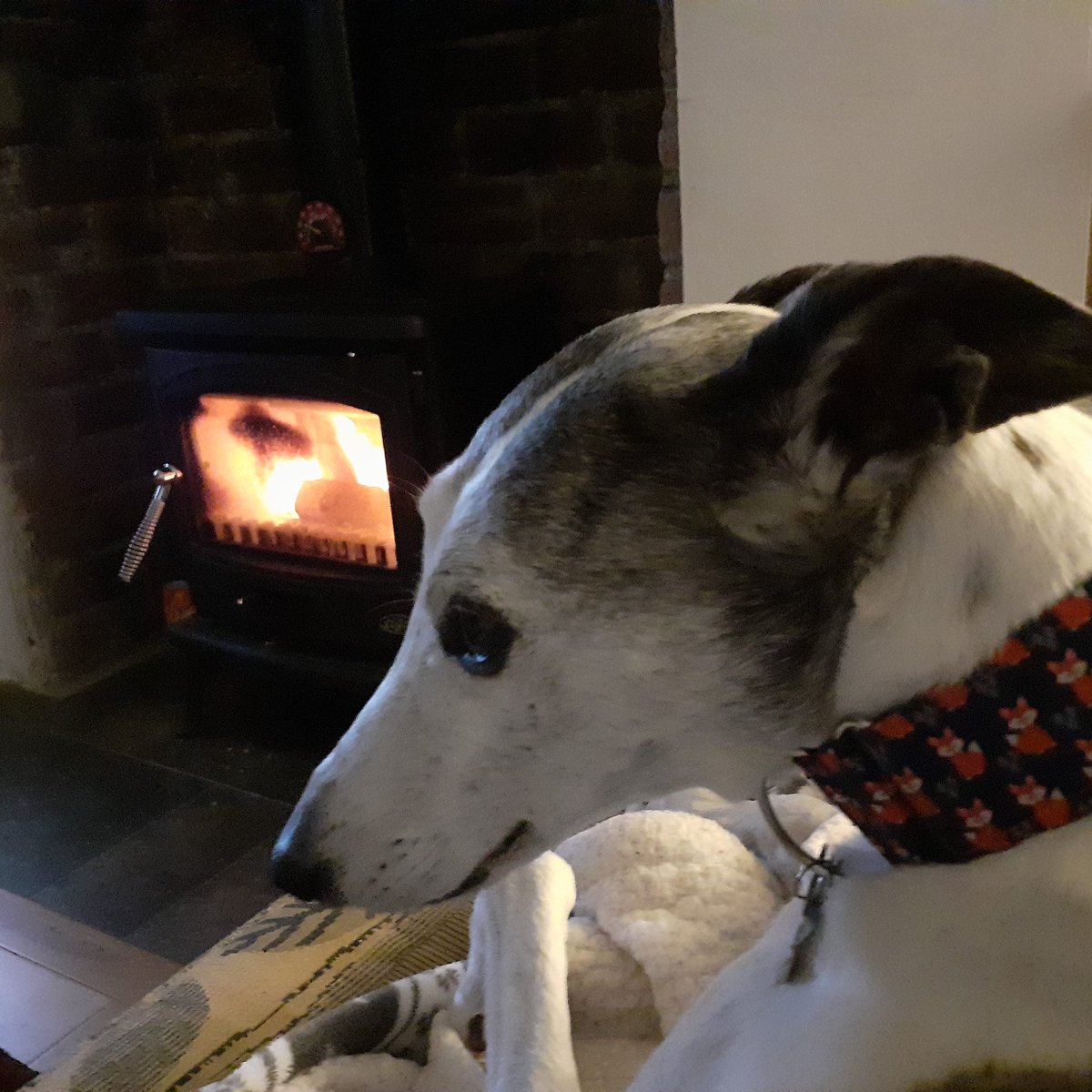 Autumn....... already?????