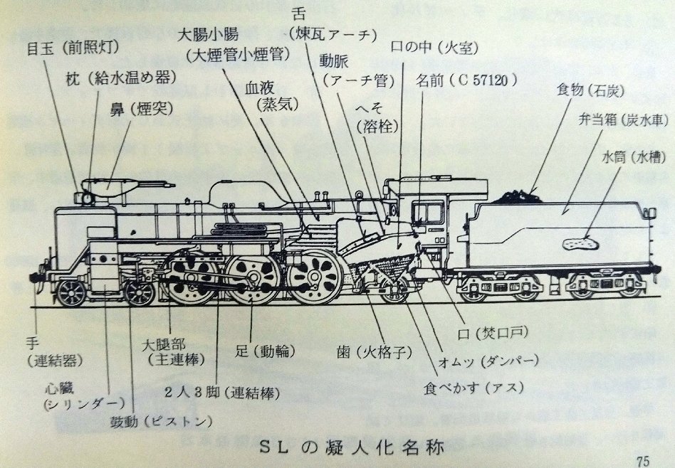 蒸気機関車を徹底的に擬人化した図解が珍しい。ここぞとばかりに「へそ
