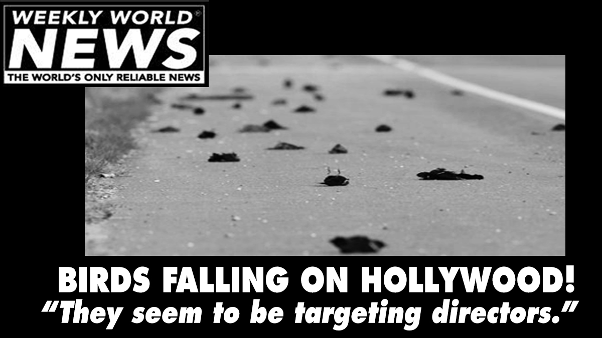 weeklyworldnews's tweet photo. Hitchcock's ghost have anything to do with this? #weeklyworldnews #thebirds #birdsfalling #birdsfallingonHollywood #deadbirds #alfredhitchcock https://t.co/AssKuLDMr9