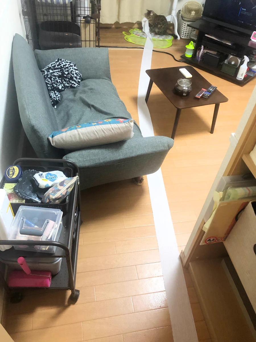 あの…もしもし？もしやそちらは人間が尻を拭くためのものでは？ｗｗ