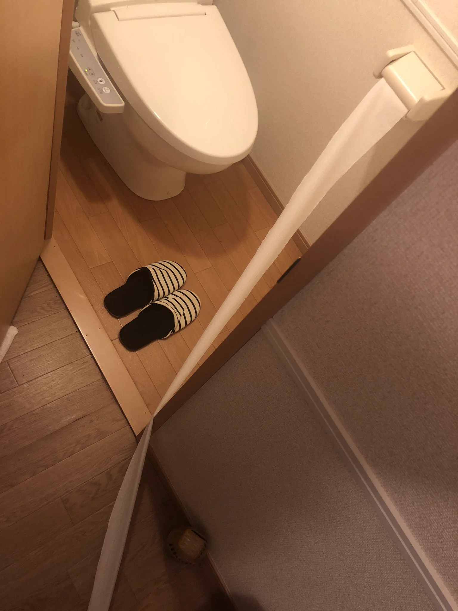 あの…もしもし？もしやそちらは人間が尻を拭くためのものでは？ｗｗ
