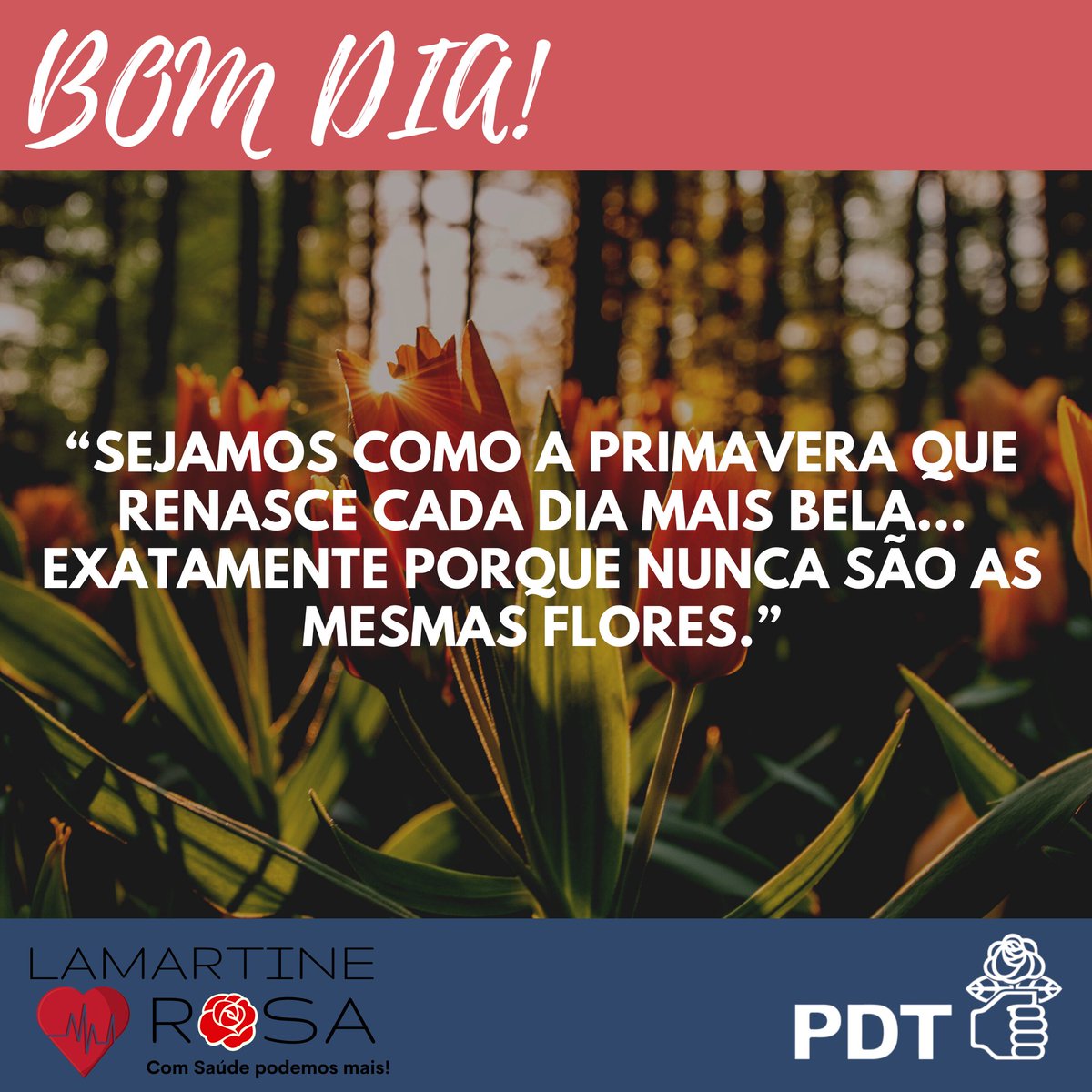 Lamartine Dos Santos Rosa (RosaLamartine) Twitter