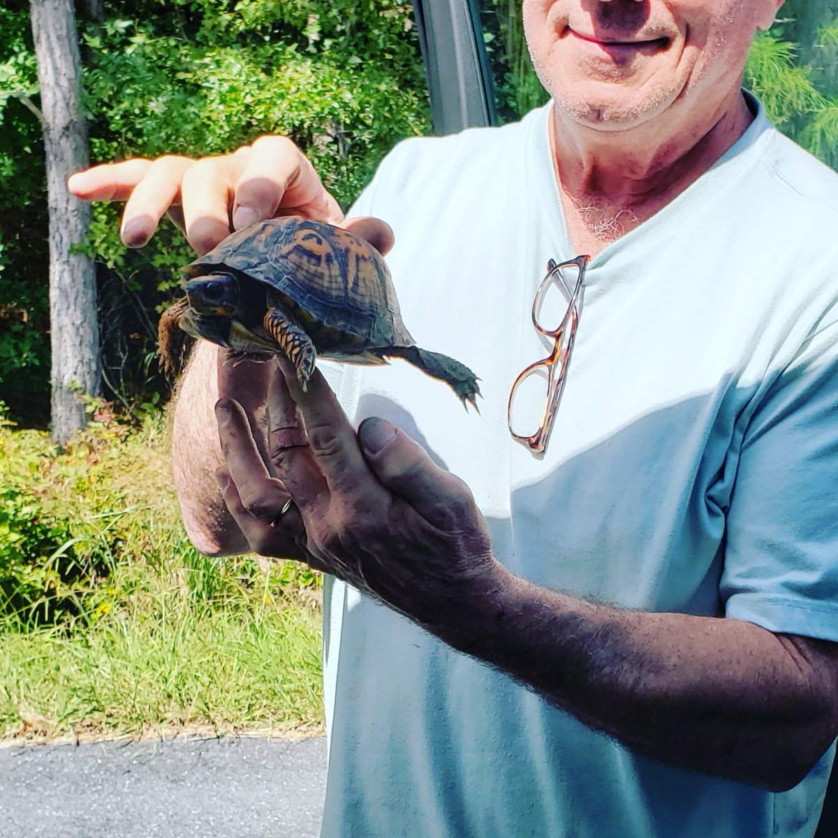 Another turtle saved crossing the road. We wonder if he's the same little guy from last year... #boxturtlesofinstagram #boxturtle #easternshore #dorchester #cambridgemaryland #saveaturtle instagram.com/p/CFcGHOfHIe-/…