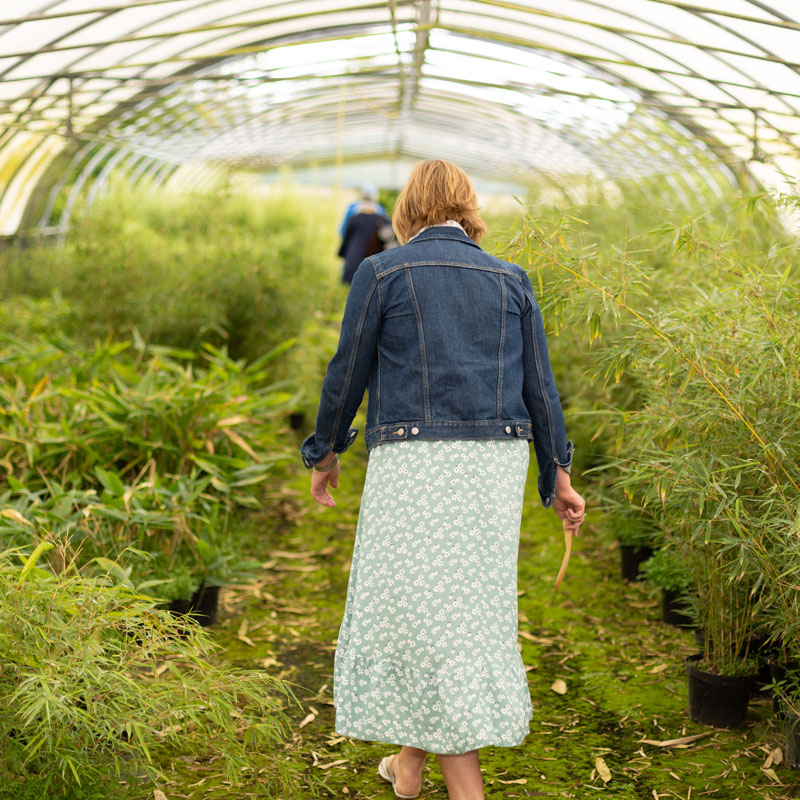 theyabamboomask's tweet photo. We had a lovely visit recently to Stam Bamboo
Nursery in Lismore, Co. Waterford. 
We believe in Bamboo - it’s an extremely soft fabric and a renewable sustainable resource deemed more eco-friendly than cotton. Perfect for our Reusable Masks ! 

#bamboomask #sustainableseptember https://t.co/Y4TTemMYIU