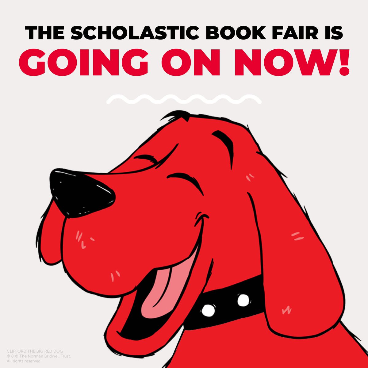 Check out the Scholastic Virtual Book Fair. There are so many great books available to be shipped right to your door and help grow your home library! bookfairs.scholastic.com/bookfairs/cpto…  <a href="/SLCSDolsen/">Dolsen Elementary</a>