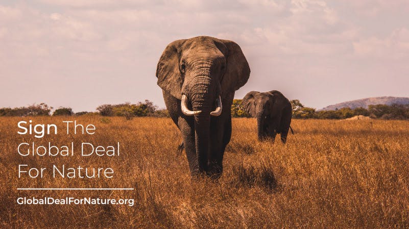 Divine Love tweet media