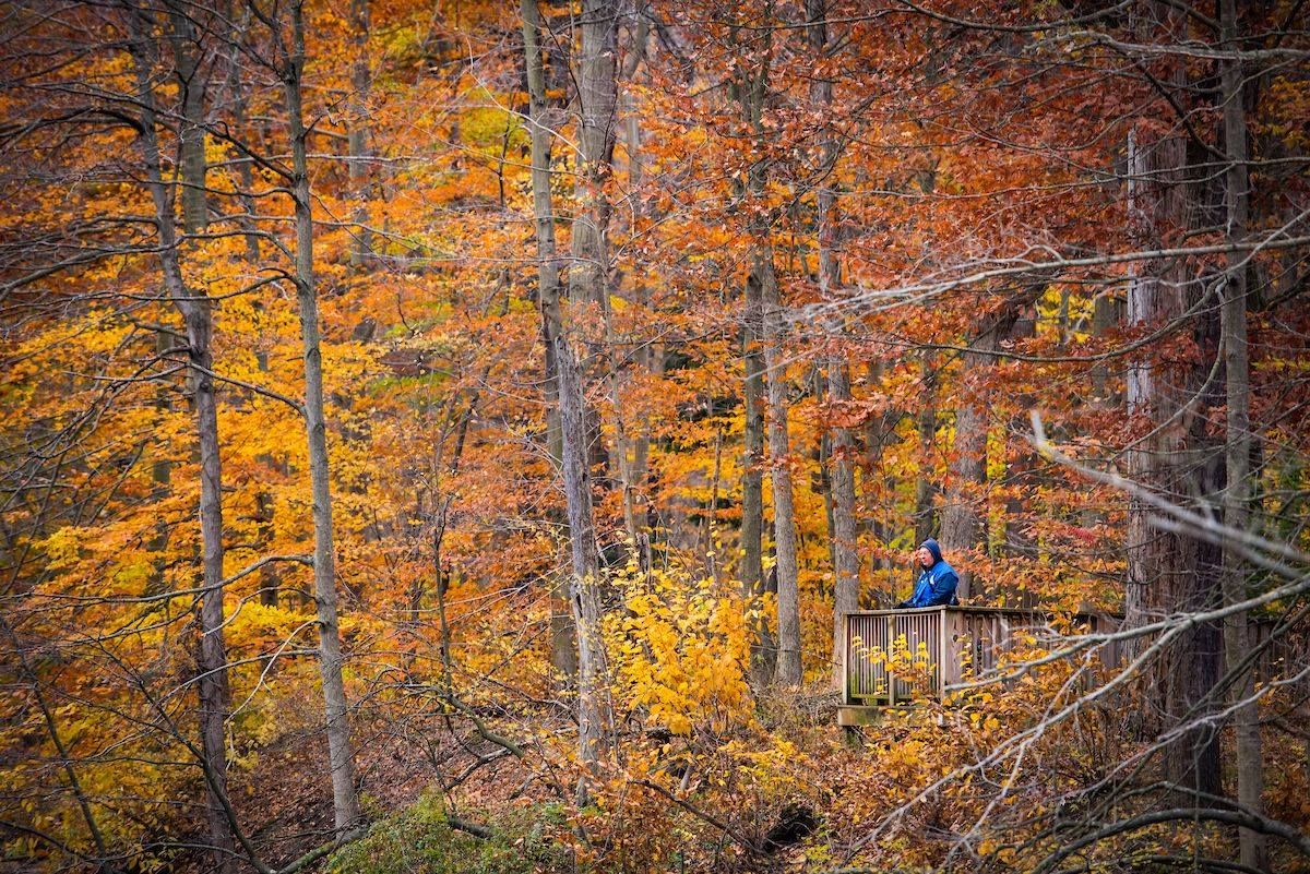 clevemetroparks tweet picture