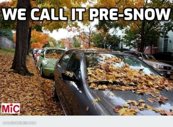KCCOCalgary's tweet photo. Welcome to Pre-Snow season ๐ #presnow #autumn #fall #kcco #chivenation #chivecanada #kcco_eh #calgary #alberta #kccocalgary #yyc #canada #thechive #chive #thechivecalgary #kcco_calgary https://t.co/mSi6NOAdc7