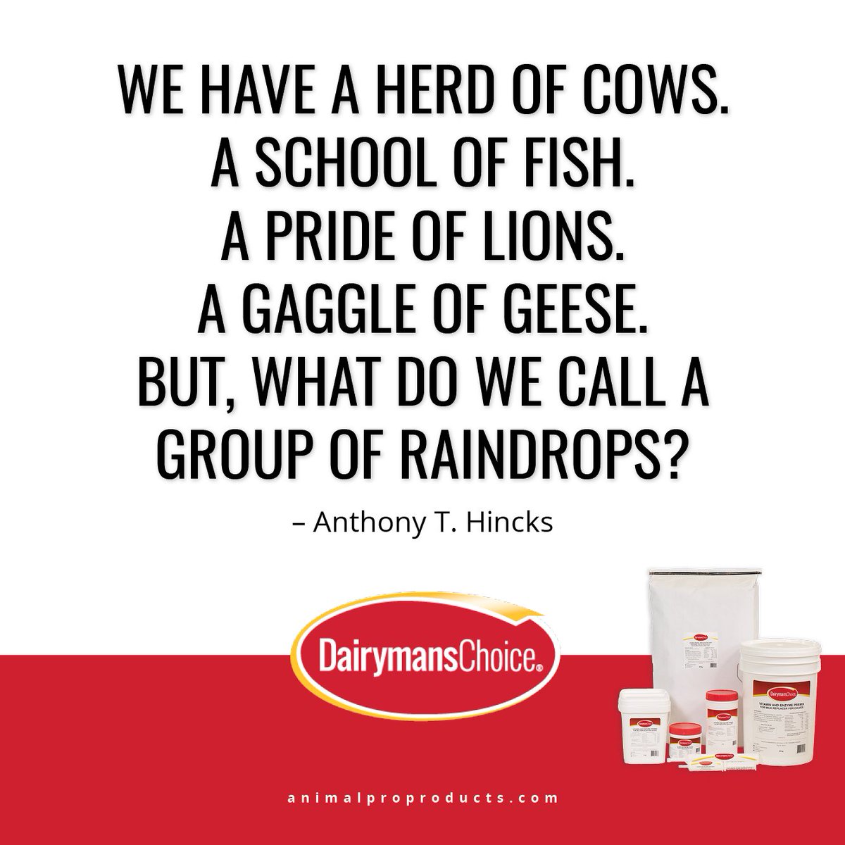 #FarmingLife

#DairymansChoice  #LivestockHealth #AnimalSupplements #CanadasOriginalProbiotic #25YearsofSuccess