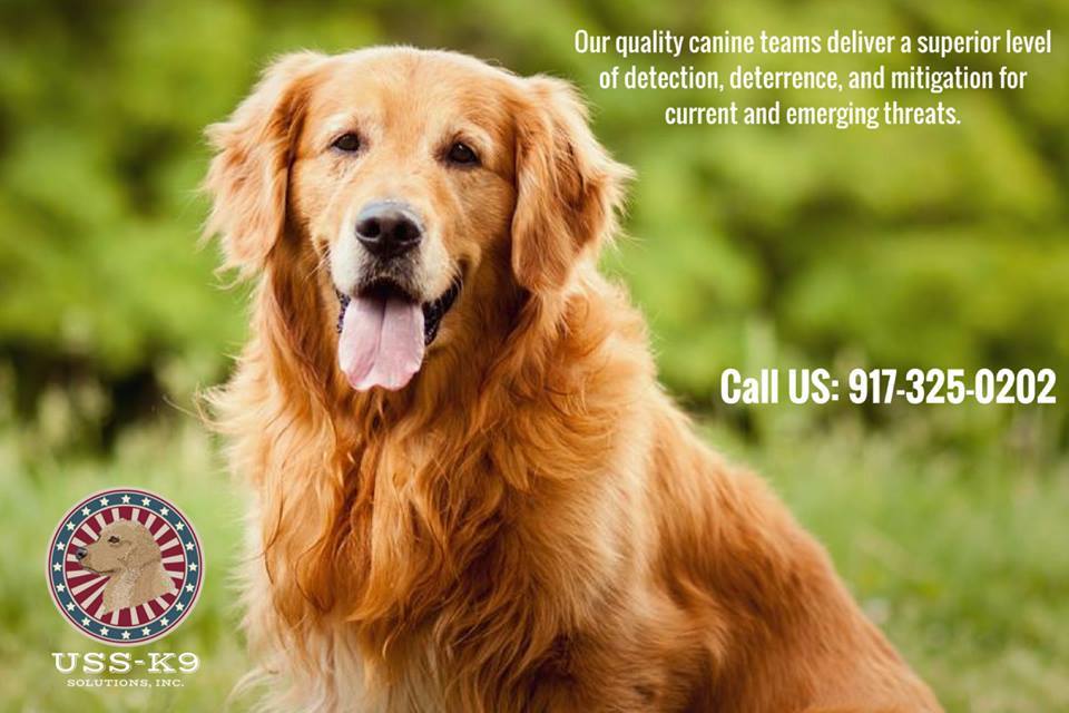 USSK_9's tweet image. At USS-K9 our mission is to provide quality canine teams that deliver a superior level of detection, deterrence, and mitigation for current and emerging threats. Our services are tailored to the needs of every client.   #ExplosiveDetectionK9 #explosive ... bit.ly/2OeAZ1q