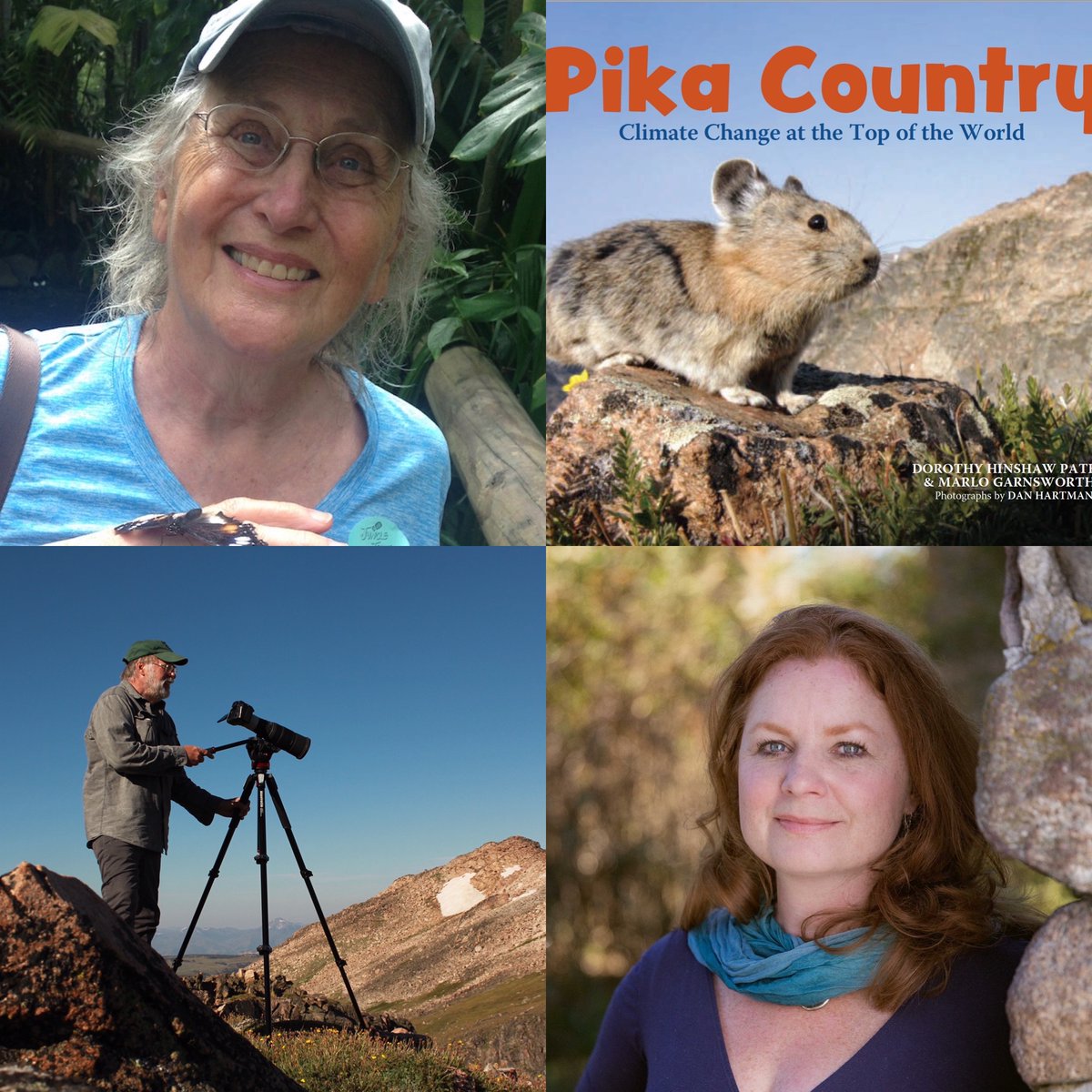 Happy #BookBirthday to authors Dorothy HInshaw Patent and Marlo Garnsworthy and photographer Dan Hartman for their book, PIKA COUNTRY: CLIMATE CHANGE AT THE TOP OF THE WORLD! Congratulations! @MarloWordyBird <a href="/DogWriterDoro/">Dorothy Patent</a> <a href="/SusanSchulman/">Susan Schulman</a> <a href="/IngramContent/">Ingram Content Group</a> #climatechangeisreal