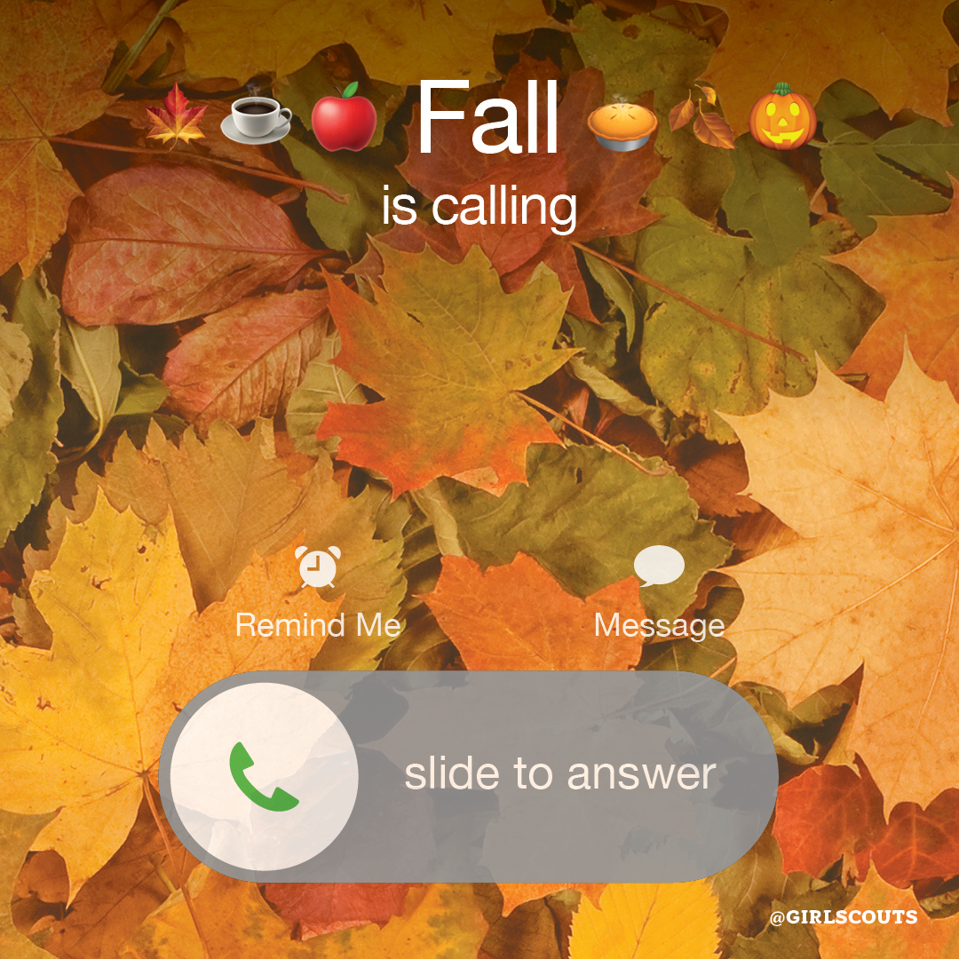RT with fave #fall emojis. 😉👇#happyfall #autumn #fallvibes